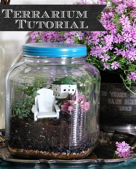 Image result for Terrarium Making111