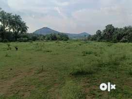 Lands & Plots for sale in Palakkad | OLX
