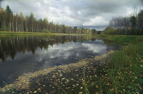 West Siberian Plain | Map, Location, & Facts | Britannica