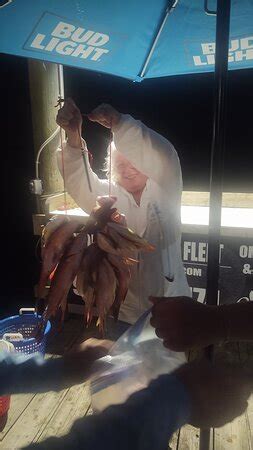 Florida Fishing Fleet - Cortez | Tripadvisor