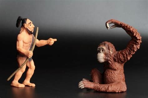 Australopithecus Sounds 的图像结果