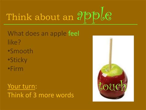 Image result for Animation About Descriptive Language