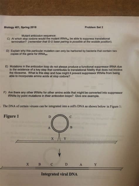 Image result for Complementary Strand Sequence