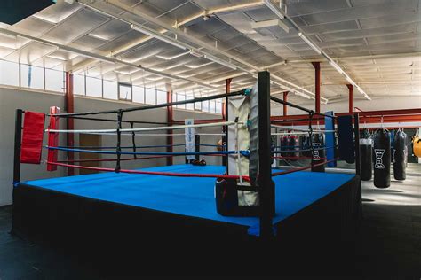 Pro Boxing Gyms 的图像结果