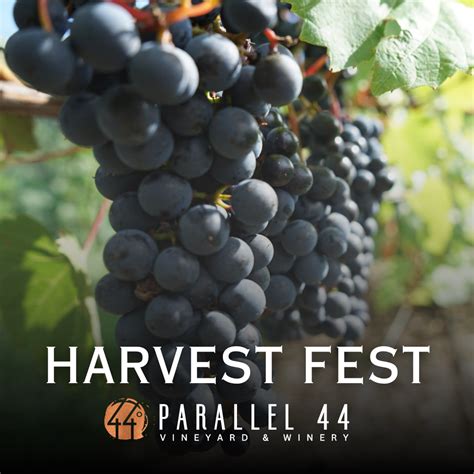 Wisconsin Wine Harvest Fest & Fall Wine Club Release - Parallel 44