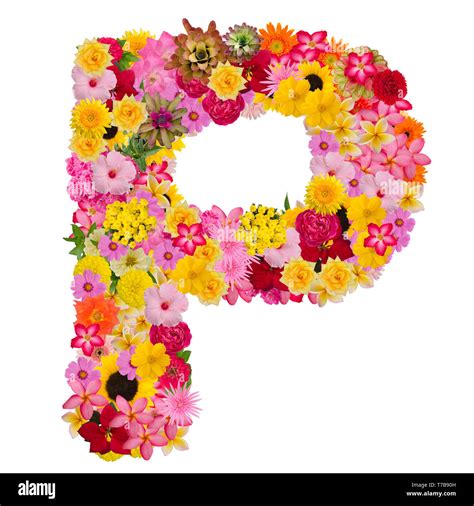 A Letter Flower Images - Free Art Print Of Flower Alphabet H Letter H Made Of Flowers Isolated ...