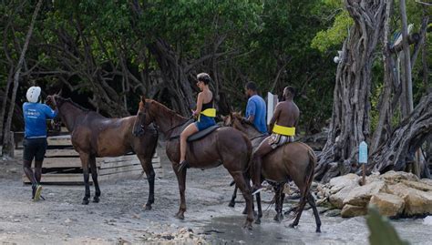 Chukka Ocean Outpost: Quad Safari, Horseback Ride, Catamaran Sail ...