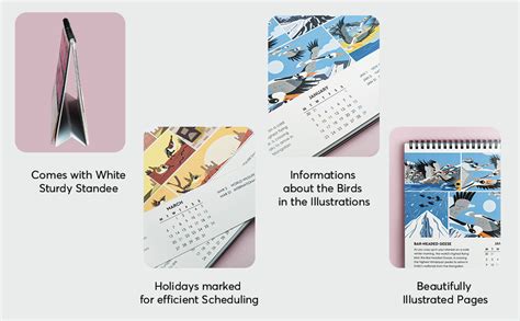 HAPPYWAGON | 2024 Bird of the Month Desk Calendar | 12 Months ...