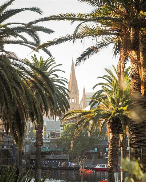 Melbourne | Peek-a-boo Melbourne moments 📍 Flagstaff Gardens on Bunurong country and Alexandra ...