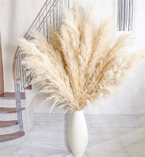 Amazon.com: 10pcs 46'' White Pampas Grass Tall Decor - Pompas Floral ...