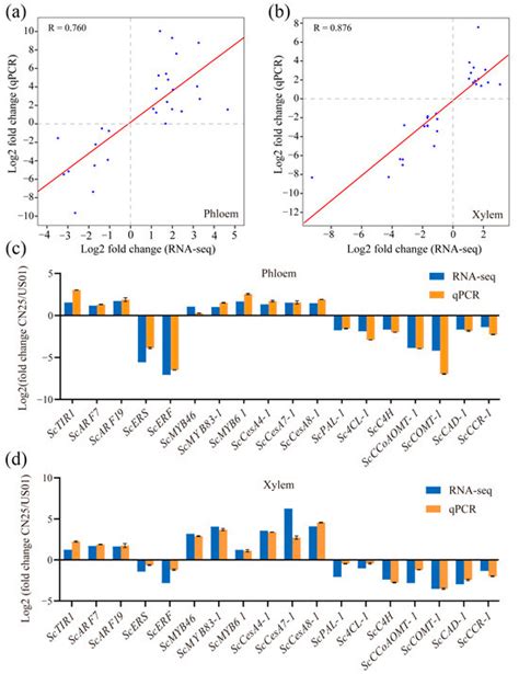 Tissue-Specific Transcriptomes in the Secondary Cell Wall Provide an ...