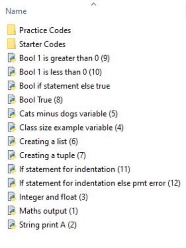 Image result for Python Coding First SYEP