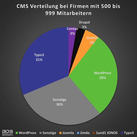 Smart Features vorgestellt: Rund um CMS - Business Data Solutions