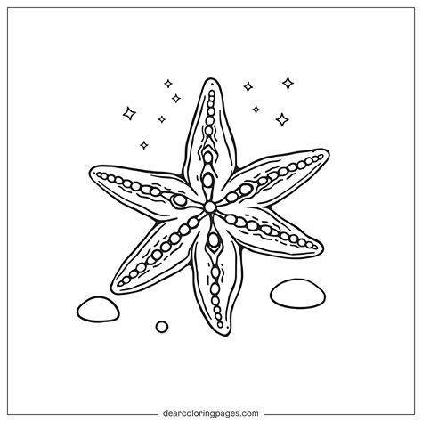 Star Fish Coloring Pages [2025]