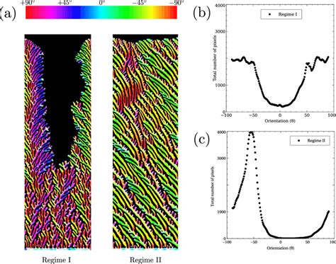 Image result for Computer Assistant Image Analysis ImageJ