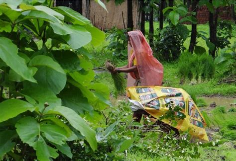 Forests, tribals and wildlife are not rivals, says environment minister