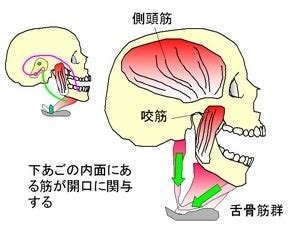 Image result for Algorithm 7 Color