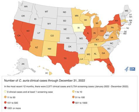 A Fungus Is Spreading In Hospitals At An 'Alarming Rate.' What To Know ...