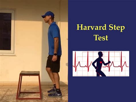 Image result for Harvard Step Formula Class 12