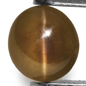 1.57-Carat Deep Brownish Honey Chrysoberyl Cat's Eye :: $785 USD ...