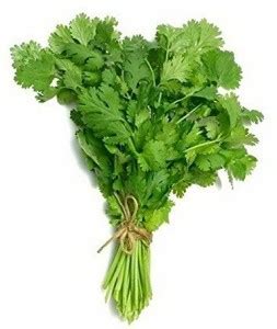 EKAKSHAR Coriander Seeds Kalmi Dhaniya, Kothimbir Seeds (Leafy ...