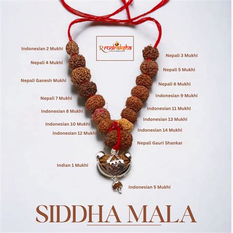 Siddha Mala/Kawach 1-14 Mukhi Nepali and Indonesian Mix Combination