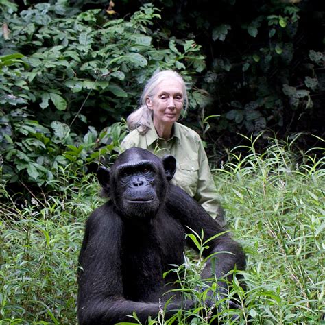 Jane Goodall (1934-2025) - Find a Grave Memorial