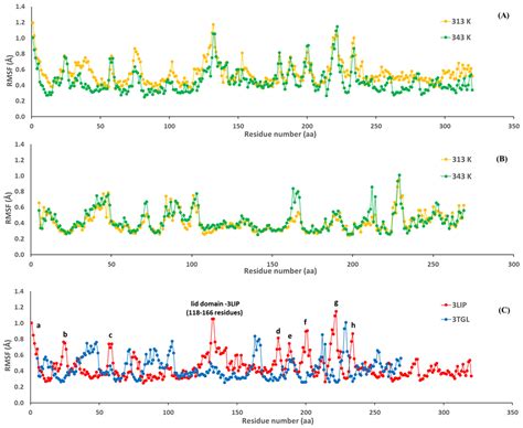 Kinetic Modeling, Thermodynamic Approach and Molecular Dynamics ...