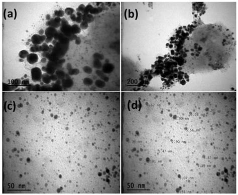 Green Synthesis of Silver Nanoparticles Derived from Papaver rhoeas L ...
