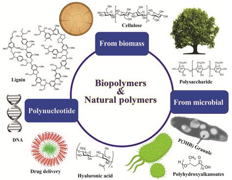 Biopolymers Are Made Of Green Materials That Are Generated By