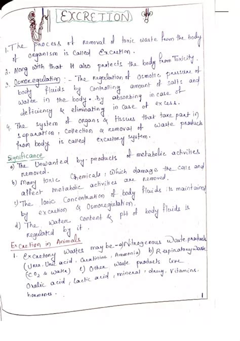 Image result for Notes Class 10 Science Flowchart