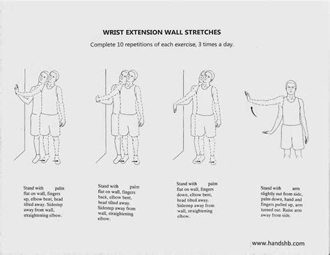 Hand Exercises For Ulnar Nerve Compression at Matilda Neil blog