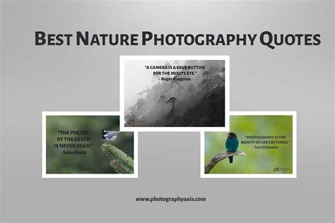 101 Best Nature Photography Quotes & Captions to Inspire You ...