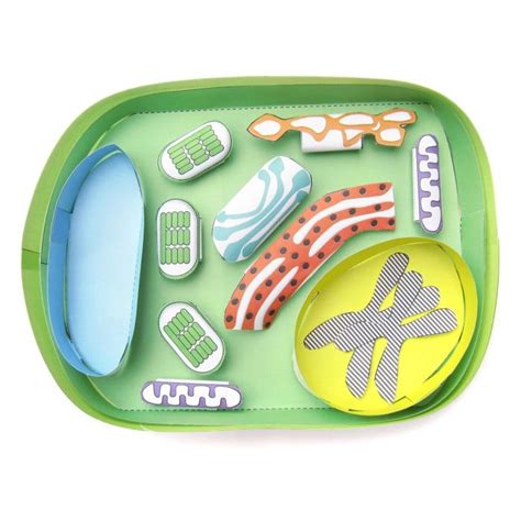 Biology Science Model 的图像结果