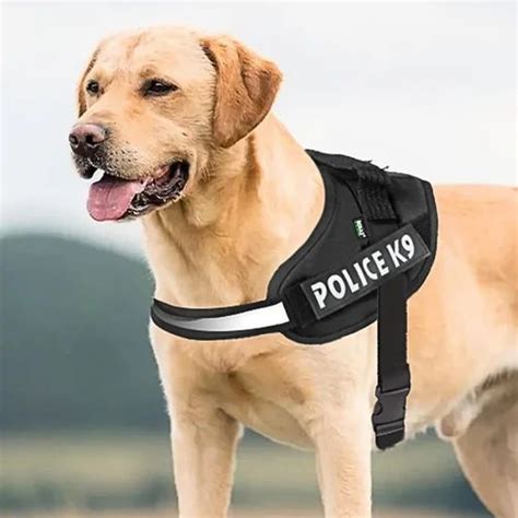 Dog Harness - Nylon Sponge Dog Vest Body Set Manufacturer from Mumbai