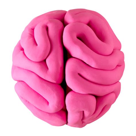 Image result for Hello Brain