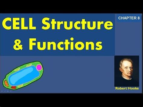 Chapter 8 Cell Structure and Function Video Lecture - Class 8