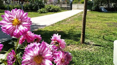 EVER GREEN KAVOS (Corfu) - Apartment Reviews, Photos, Rate Comparison ...