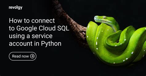 Image result for How to Use Google SQL with Python