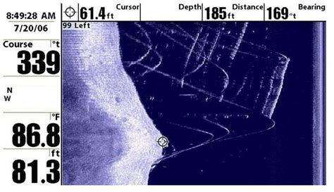 Image result for How to Read Side Scan Imaging
