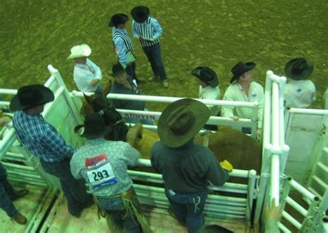 Image result for Loading Rodeo Stock