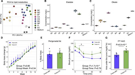 Fatty acid overproduction by gut commensal microbiota exacerbates obesity: Cell Metabolism