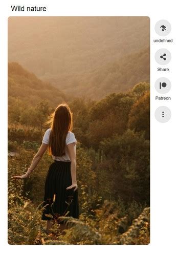 Image result for Reel HTML Code