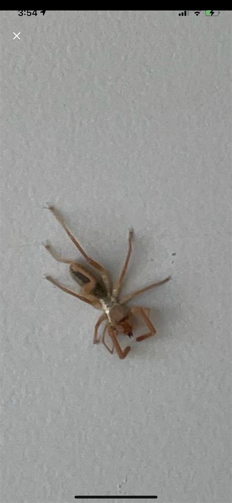 Mom showed me this picture from my hometown in Kern California. What ...