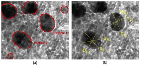 Particle Recognition on Transmission Electron Microscopy Images Using ...