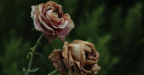 ठोकर (Thokar Poem): जब डर लगे तो अक्षय चौहान 'आशु' की यह कविता पढ़ें ...