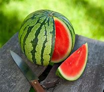 watermelons 的图像结果
