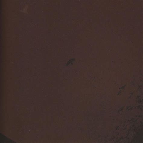 Image result for My Dying Bride Evinta CD