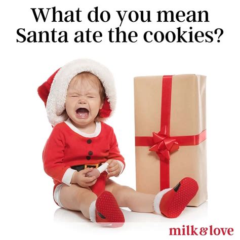 [100+] Funny Christmas Pictures | Wallpapers.com