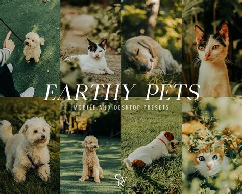 600+ PETS Bundle Presets - Mobile and Desktop - Lightroom Preset Bundle ...